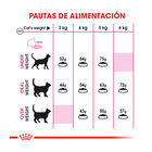 Royal Canin Adult Exigent Aroma ração para gatos, , large image number null
